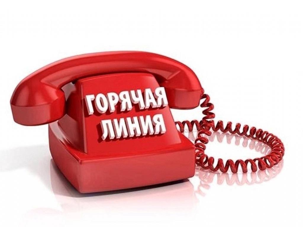 Главное управление соцзащиты проведет горячую линию Главное управление соцзащиты проведет горячую линию